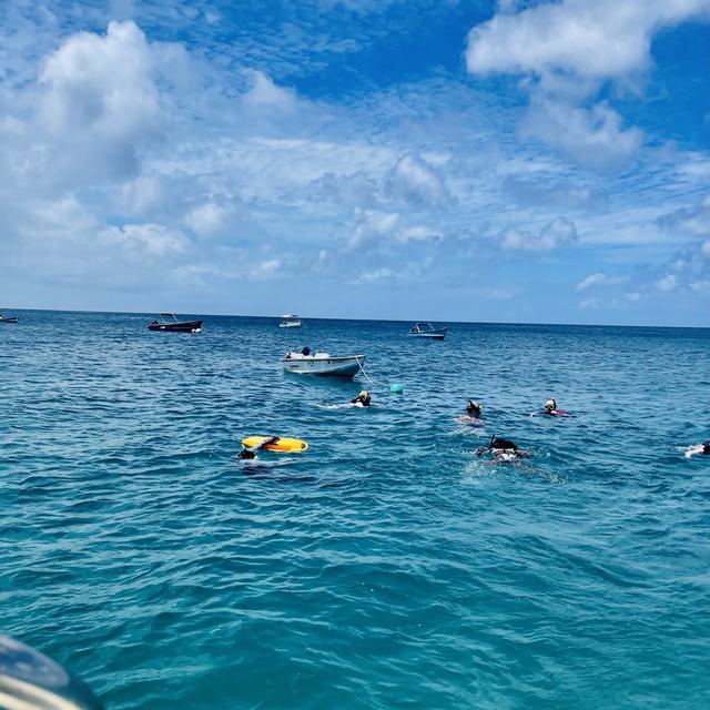 Snorkellers in turquoise water