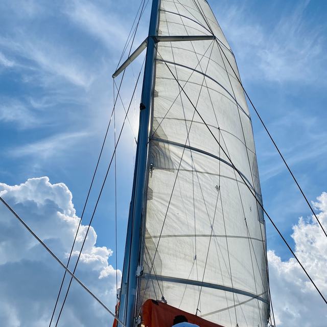 Mainsail against a blue sky